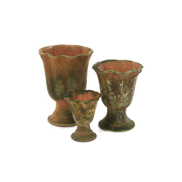 Aged Acanthus Urn Planters