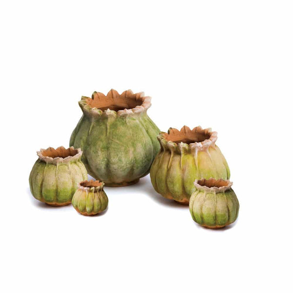 Aged Poppy Planters