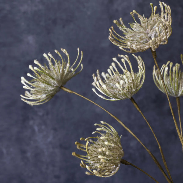 Green Leucospermum Stem