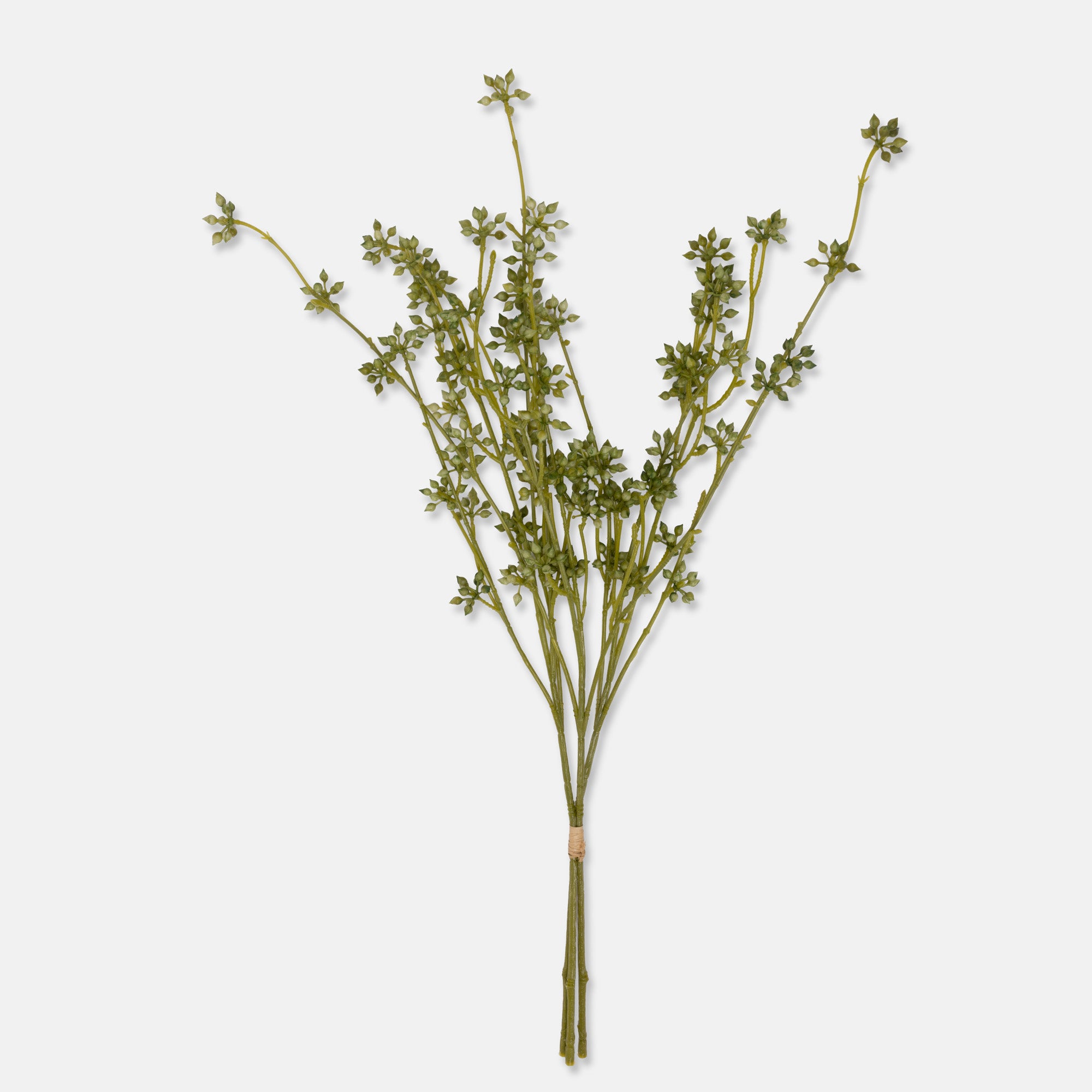 Green Succulent Bunch