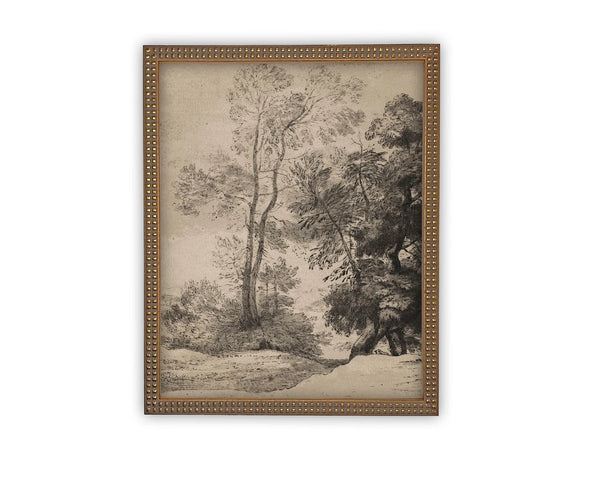 Neutral Tree Study