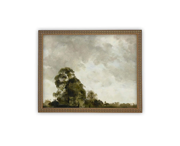 Cloudy Skies Over Wood