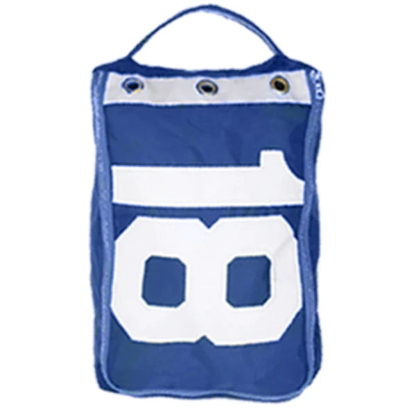 Blue Flagstick Shoe Bag