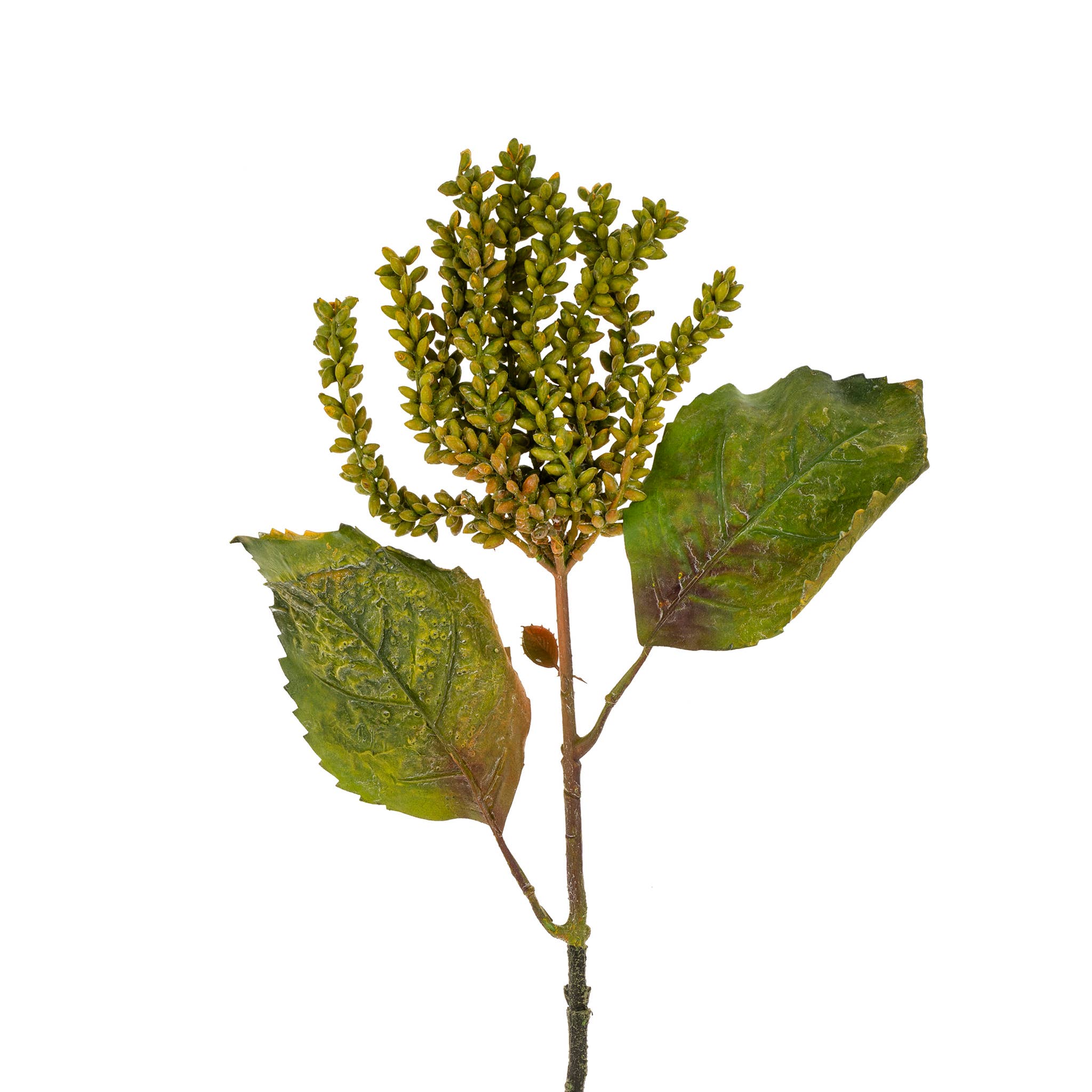 Cascading Green Seed Stem