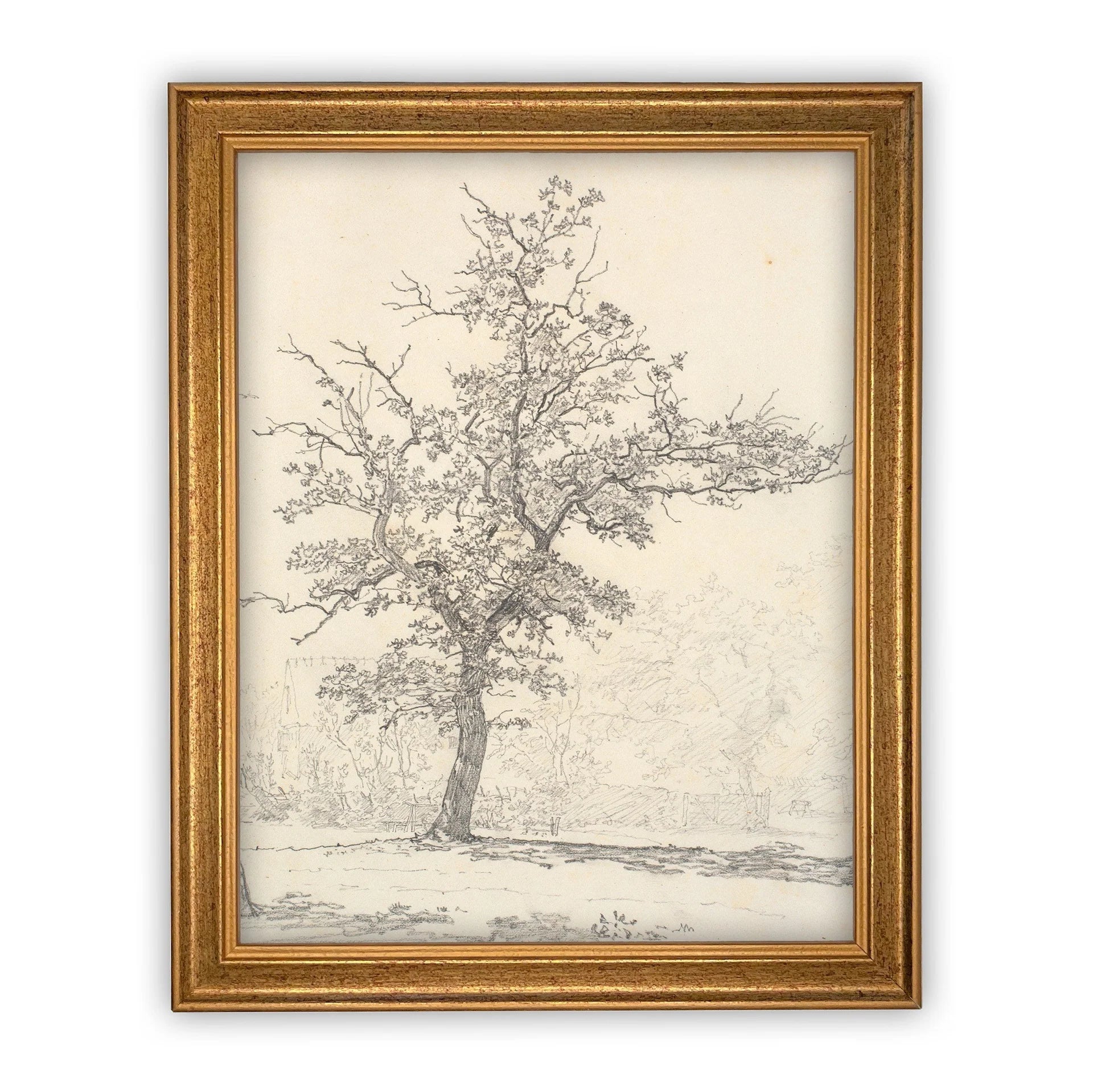 Vintage Maple Tree Canvas Art