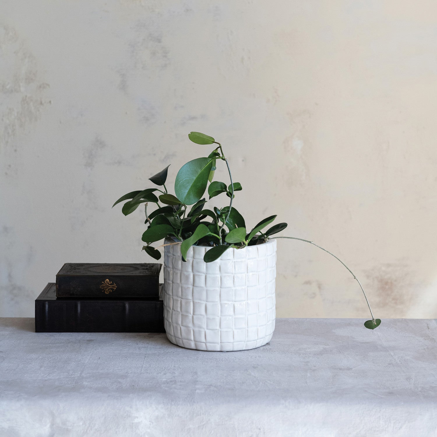 Woven Pattern Stoneware Planter