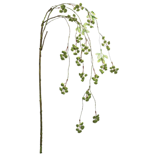 Hanging Irish Moss