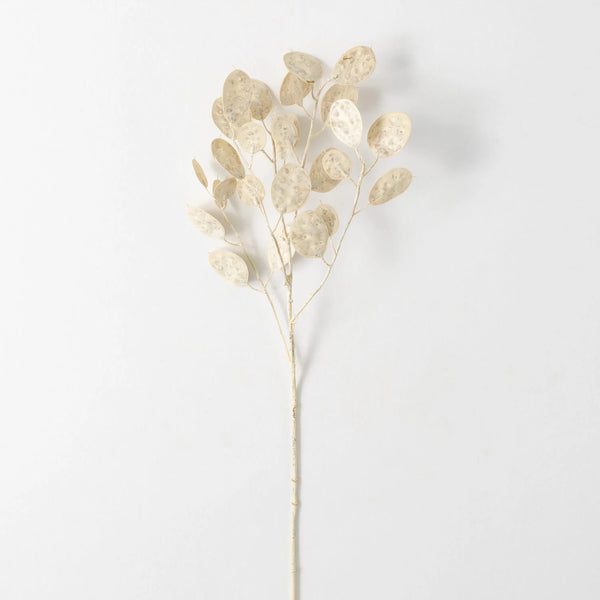 Faux Dried Cream Linaria Spray