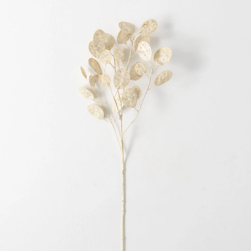 Faux Dried Cream Linaria Spray