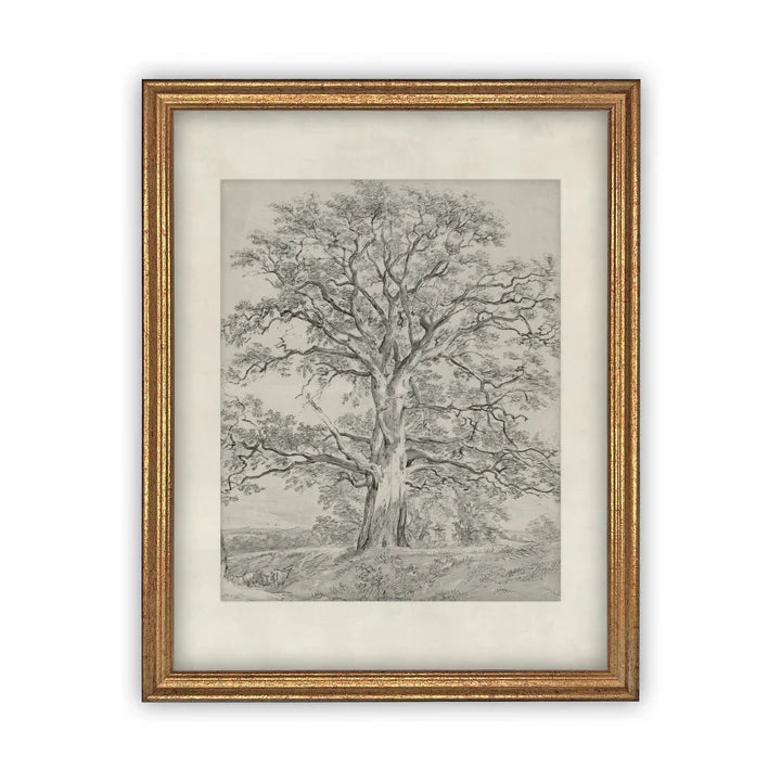 The Oak Tree Framed Canvas Art