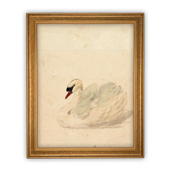 White Swan Framed Canvas Art