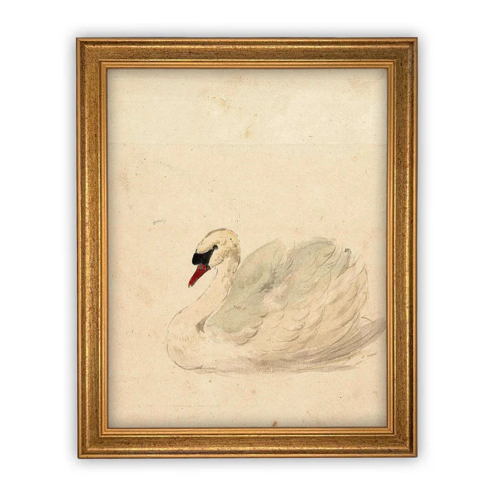 White Swan Framed Canvas Art