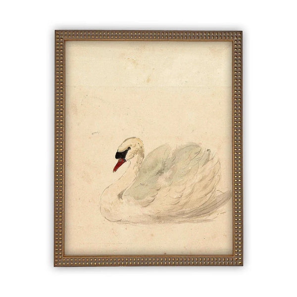 White Swan Framed Canvas Art