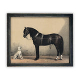 Horse and Dog Print