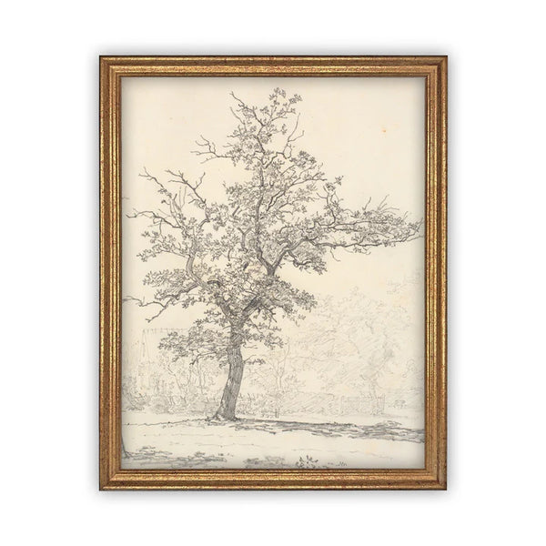 Vintage Maple Tree Canvas Art