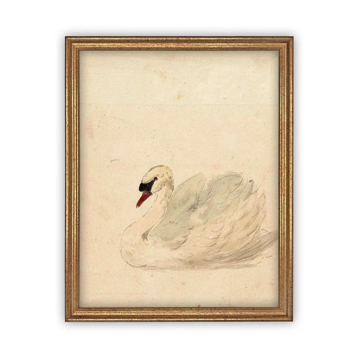 White Swan Framed Canvas Art