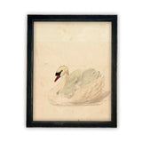 White Swan Framed Canvas Art