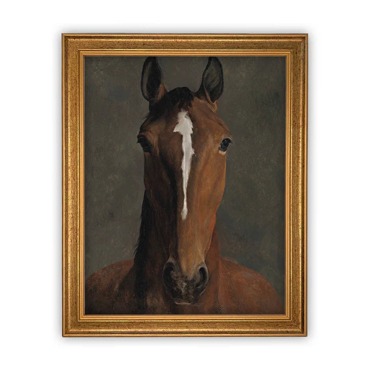 Portrait of a Horse Framed Canvas