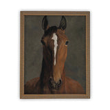 Portrait of a Horse Framed Canvas