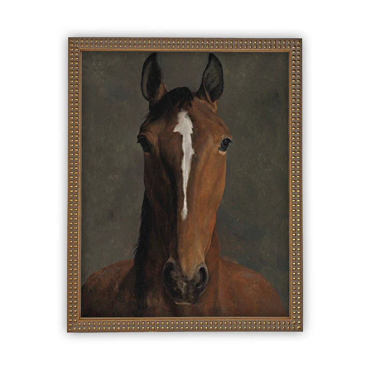 Portrait of a Horse Framed Canvas