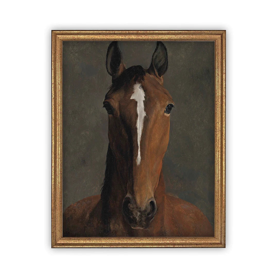 Portrait of a Horse Framed Canvas