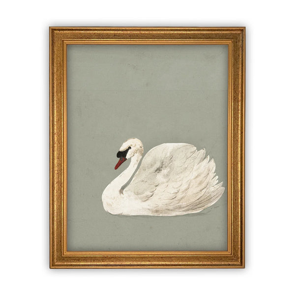 Swan on Grey Background Print