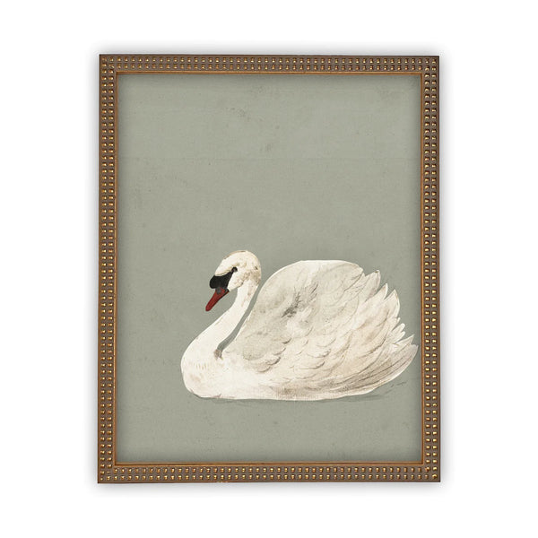 Swan on Grey Background Print