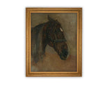 Horse Profile Framed Canvas Art