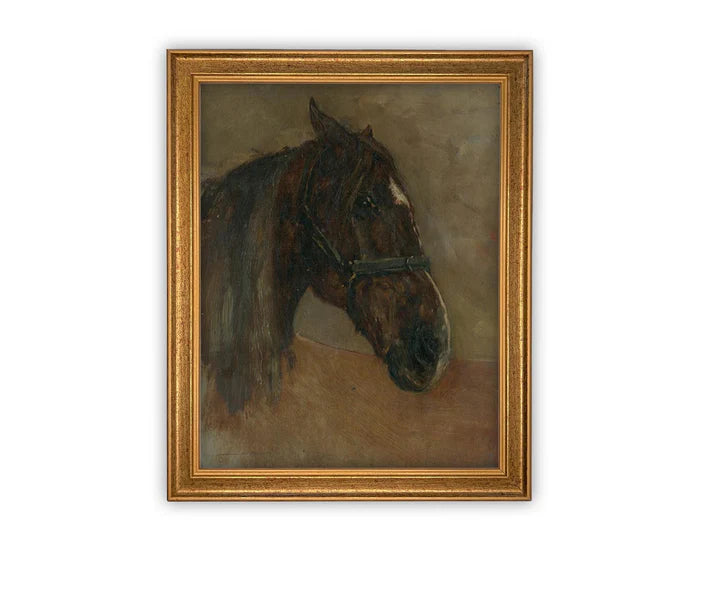 Horse Profile Framed Canvas Art