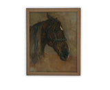 Horse Profile Framed Canvas Art