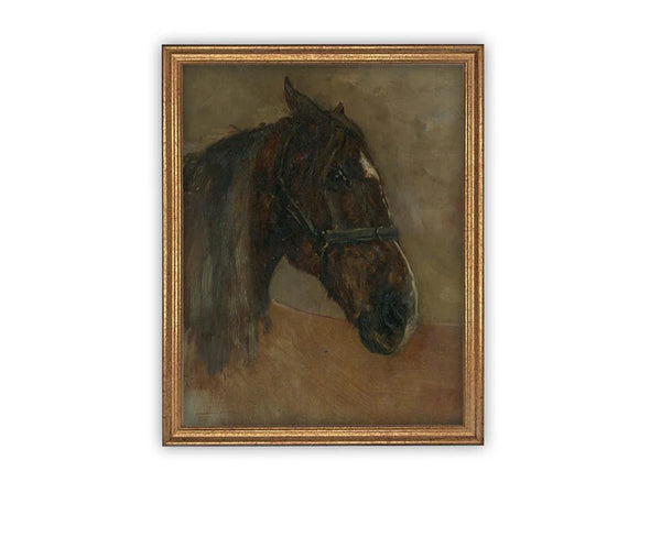 Horse Profile Framed Canvas Art