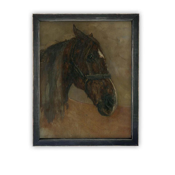 Horse Profile Framed Canvas Art