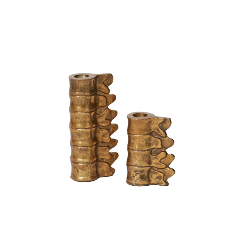 Spine Candle Holder