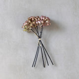 Rose Hip Bunch
