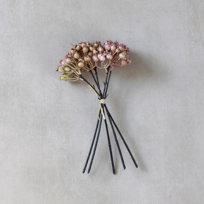 Rose Hip Bunch
