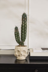 Spooky Skull Pot