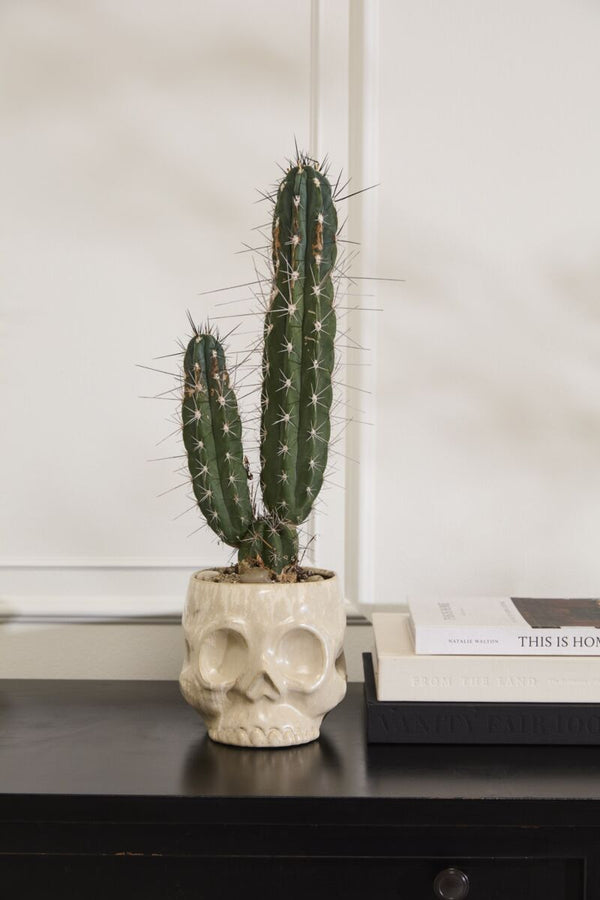 Spooky Skull Pot