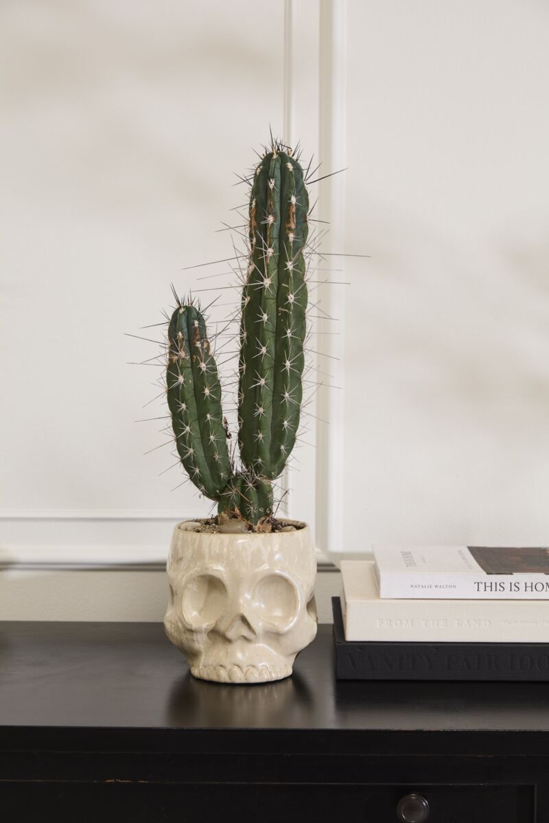 Spooky Skull Pot