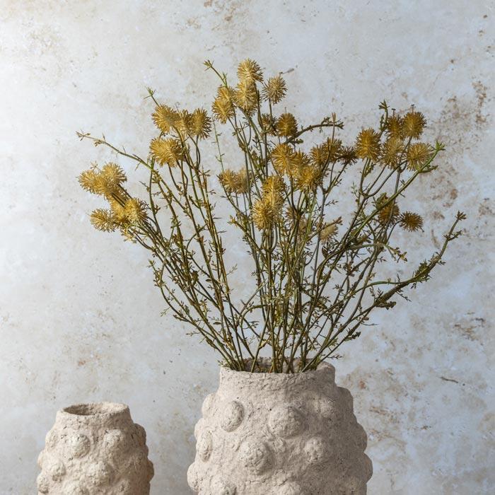 Pom Pom Meadow Stem