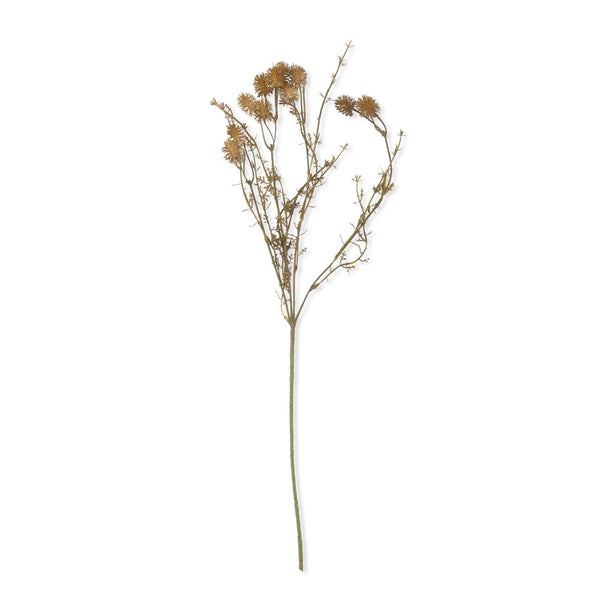 Pom Pom Meadow Stem