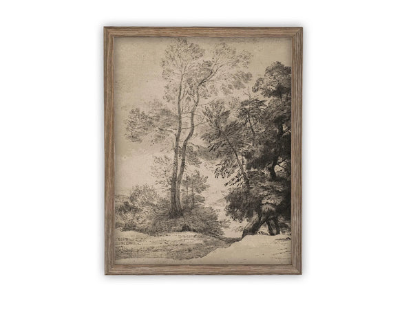 Neutral Tree Study