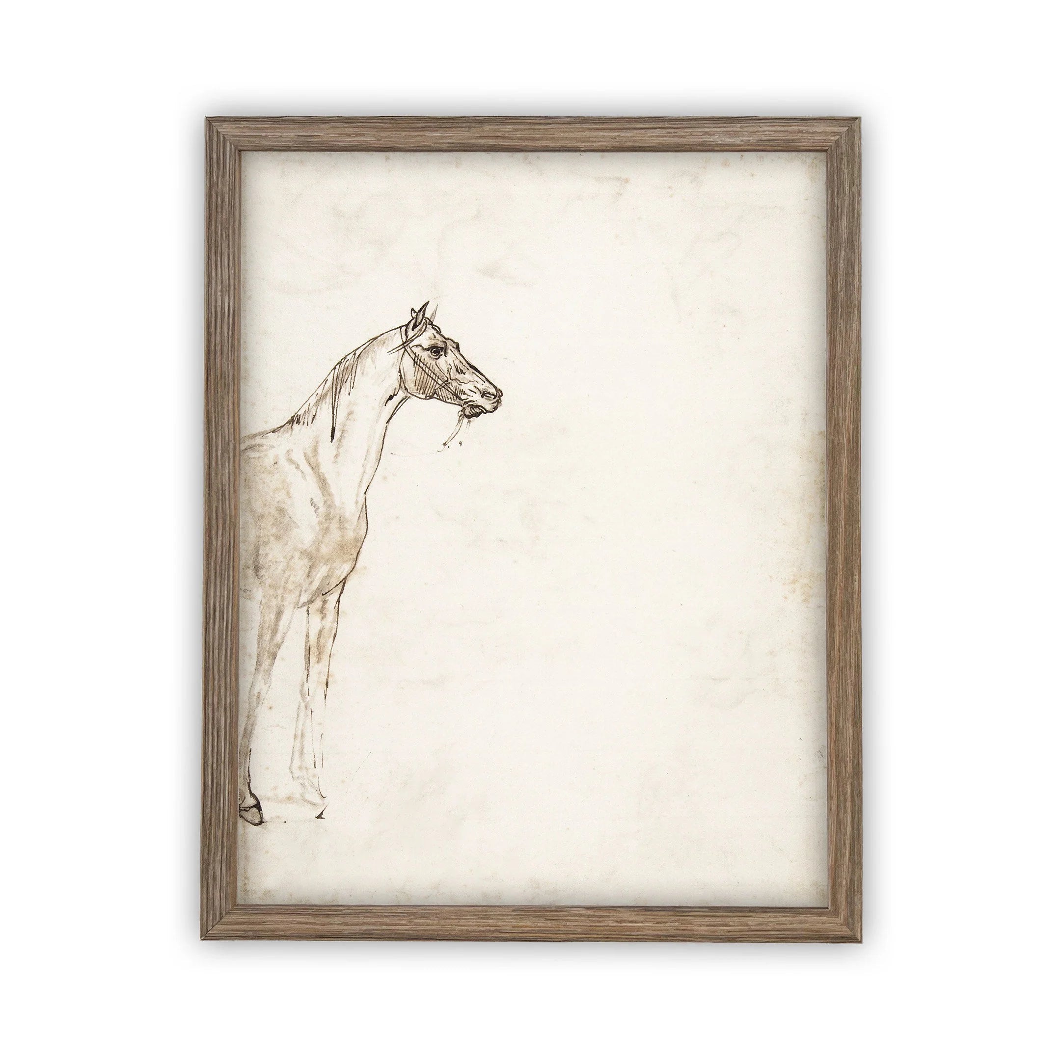 Farmhouse Horse