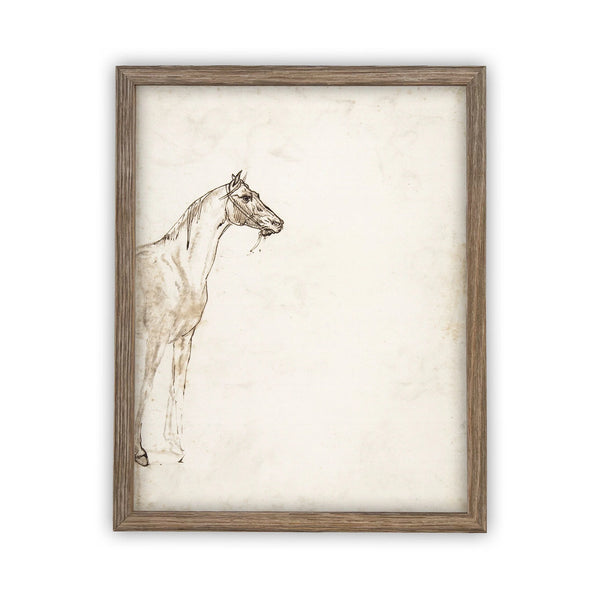 Farmhouse Horse