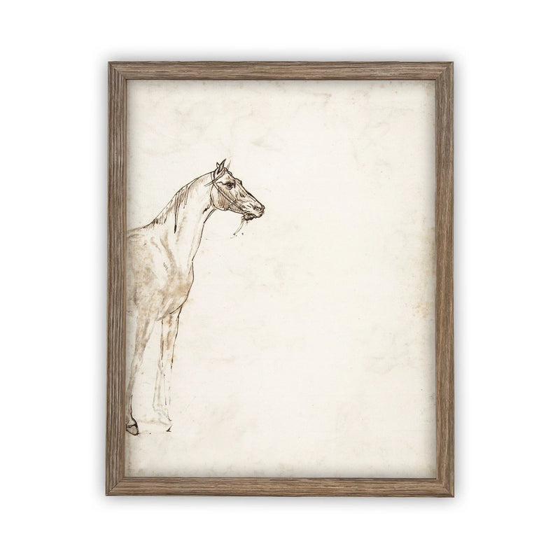 Farmhouse Horse