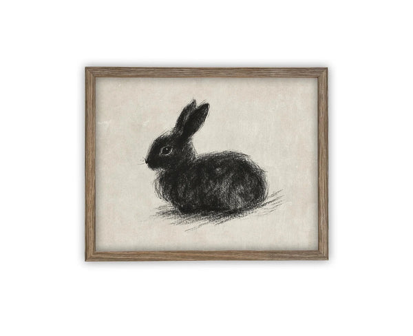 Black Bunny Charcoal Study