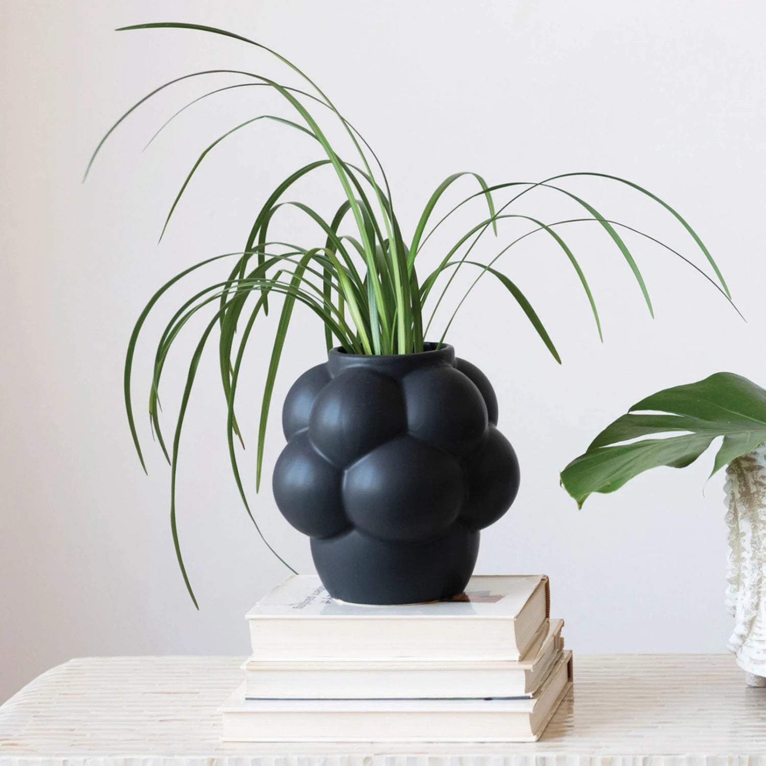 Black Raised Dot Vase