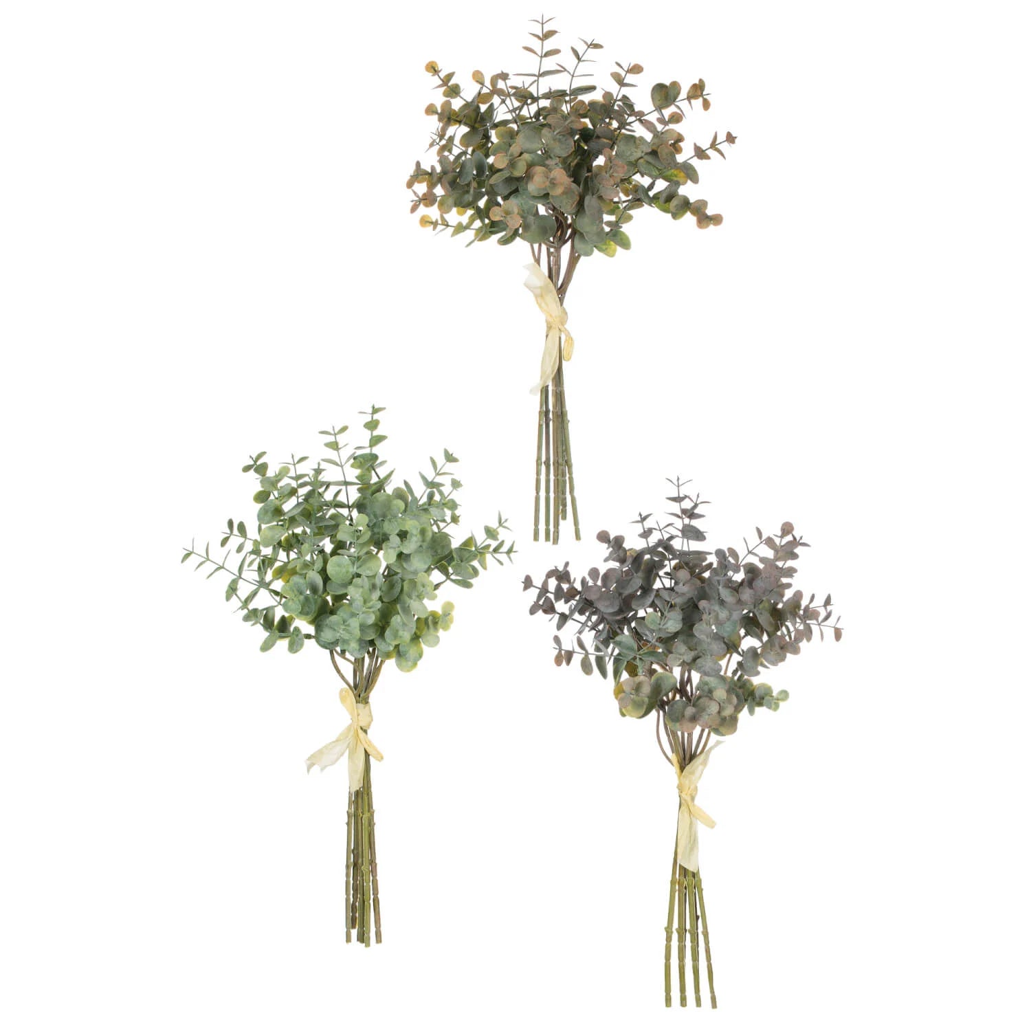 Eucalyptus Bundles – The Pep Line