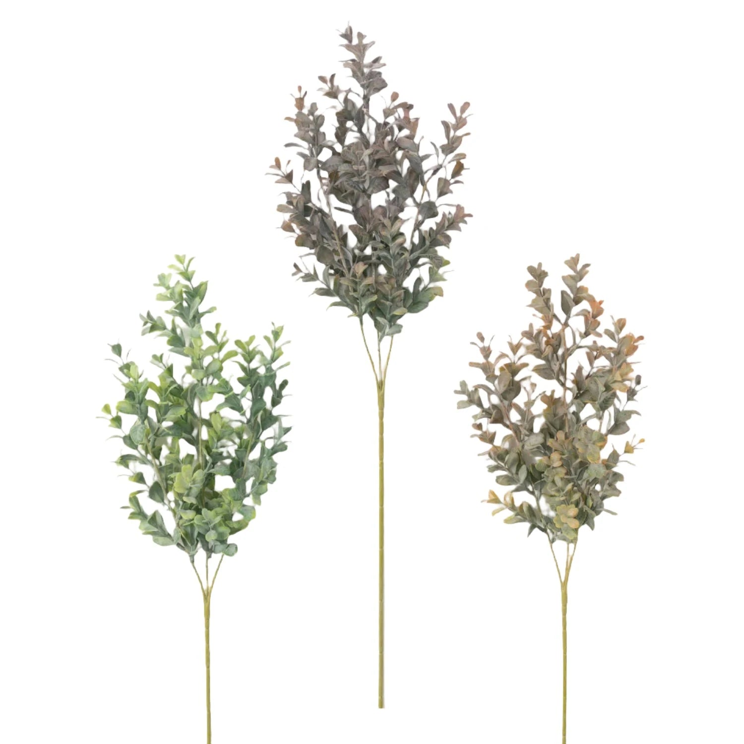 Hedgerow Stems