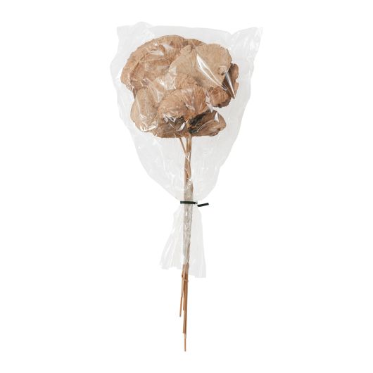 Tan Sponge Mushroom Stem