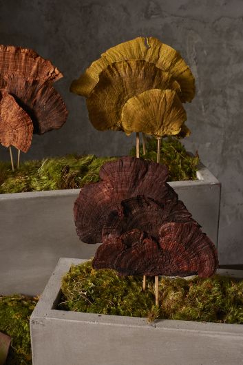 Tall Red Sponge Mushroom Stem